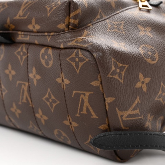Louis Vuitton Monogram Palm Springs Backpack MM - Picture 9 of 9